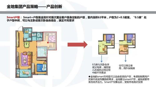 金地集團投資開發模式研究 以常德軟件開發為例